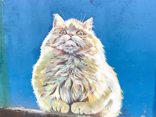 猫咪彩绘墙